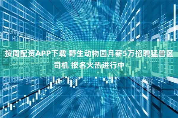 按周配资APP下载 野生动物园月薪5万招聘猛兽区司机 报名火热进行中