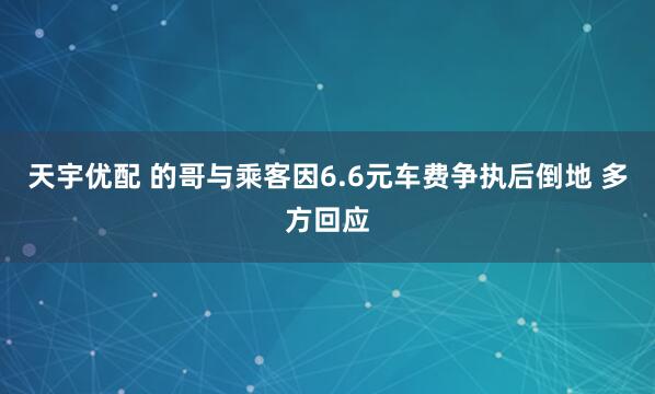 天宇优配 的哥与乘客因6.6元车费争执后倒地 多方回应