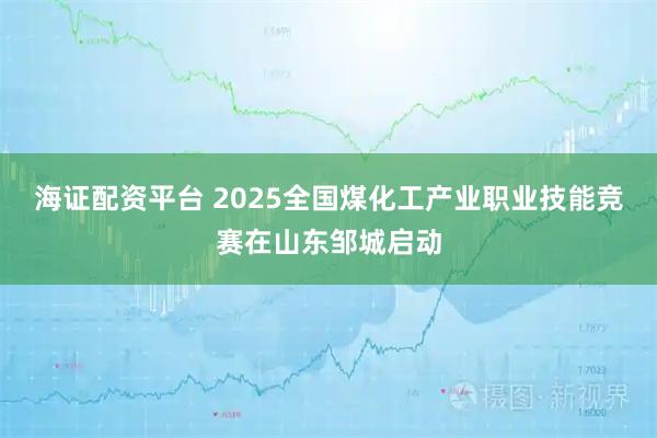 海证配资平台 2025全国煤化工产业职业技能竞赛在山东邹城启动