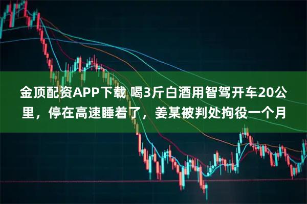 金顶配资APP下载 喝3斤白酒用智驾开车20公里，停在高速睡着了，姜某被判处拘役一个月