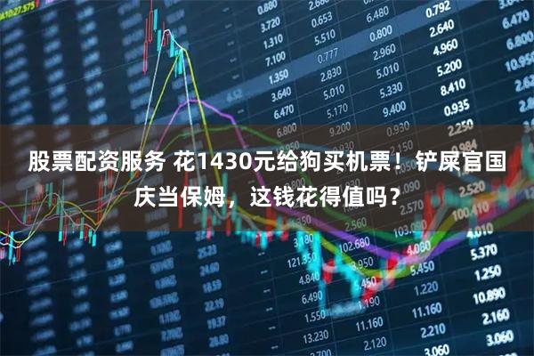 股票配资服务 花1430元给狗买机票！铲屎官国庆当保姆，这钱花得值吗？