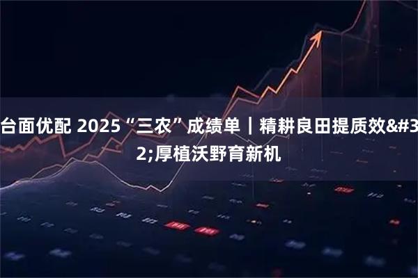 台面优配 2025“三农”成绩单｜精耕良田提质效 厚植沃野育新机