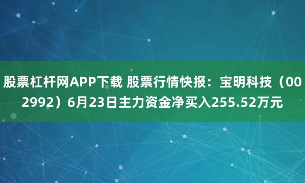 股票杠杆网APP下载 股票行情快报：宝明科技（002992）6月23日主力资金净买入255.52万元