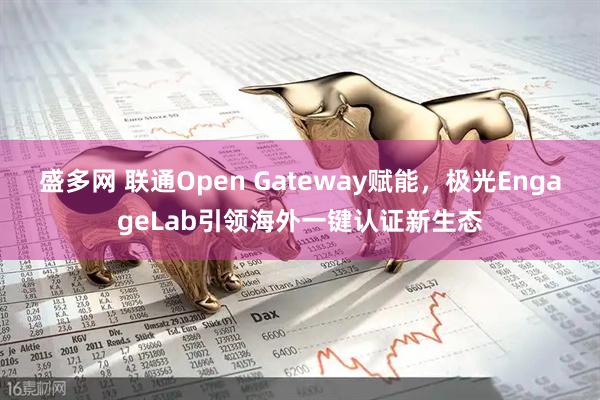 盛多网 联通Open Gateway赋能，极光EngageLab引领海外一键认证新生态
