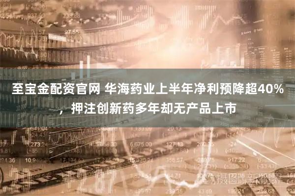 至宝金配资官网 华海药业上半年净利预降超40%，押注创新药多年却无产品上市